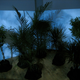 Image for article titled Plant Pornographer Goes Mainstream With Travel Movie For Plants